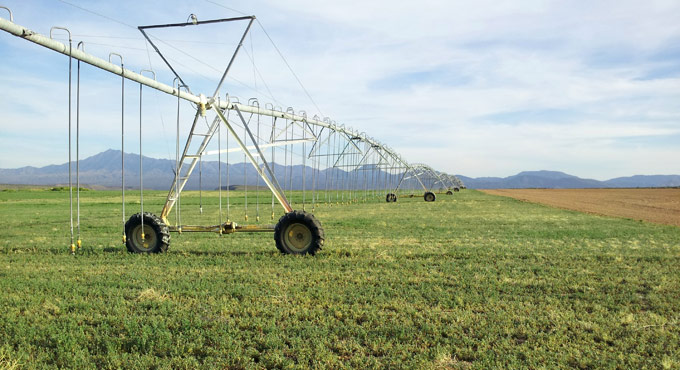 irrigation in a field