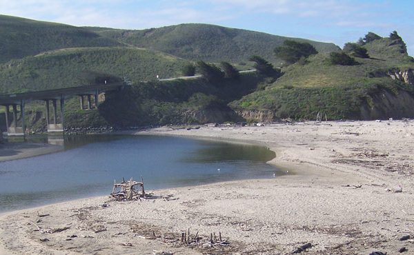 San Gregorio Creek Watermaster