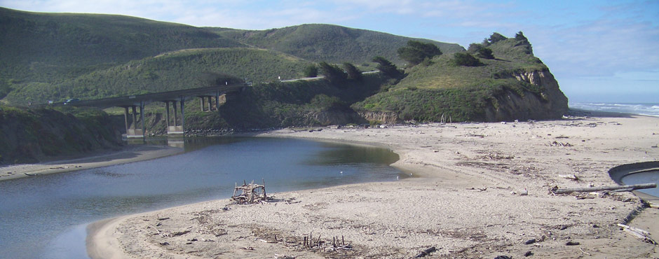 San Gregorio Creek Watermaster