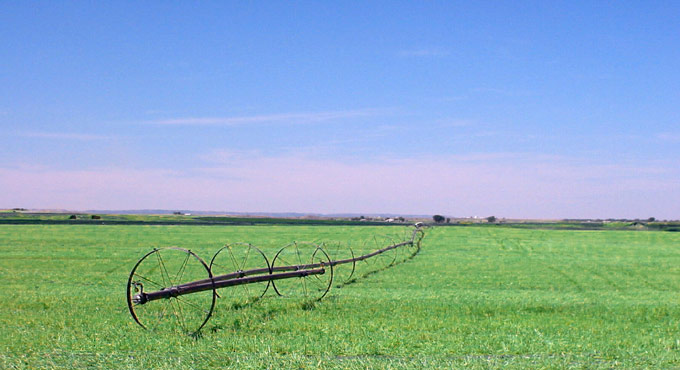 wheelline sprinkler in green field