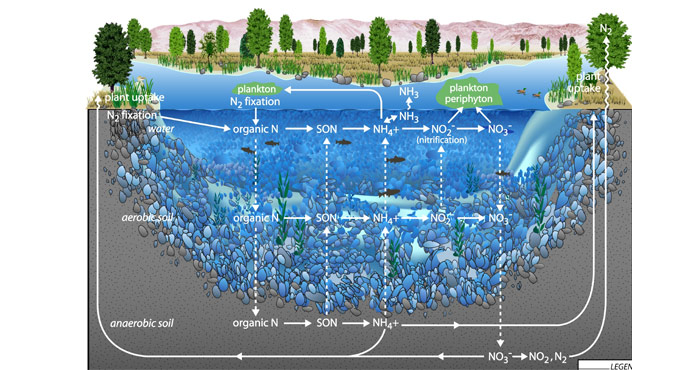 water quality diagram