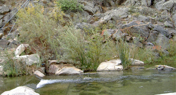 river with rocks in the background