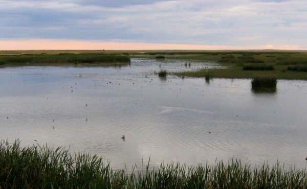 Ft. Belknap Indian Reservation