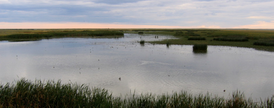 Ft. Belknap Indian Reservation