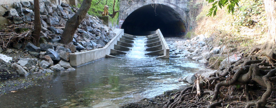 San Anselmo fish passage