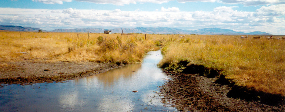 Duck Valley Indian Reservation