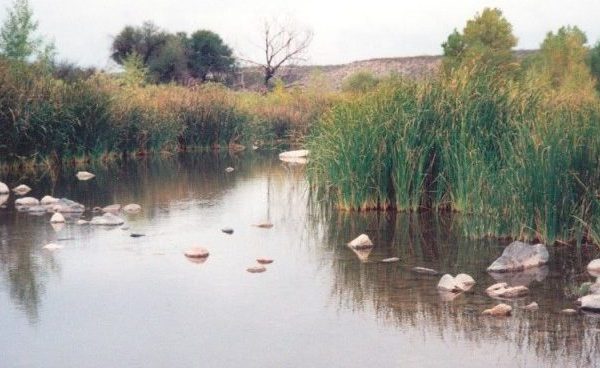 San Carlos Apache Reservation