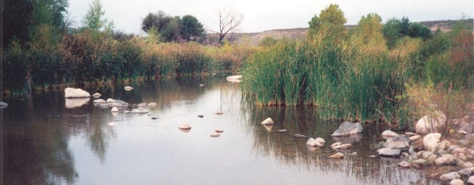 San Carlos Apache Reservation